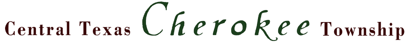 Web Page Banner